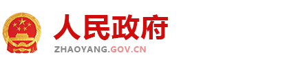 (PC+WAP)政府协会类网站 红色风格政府网站-NULL