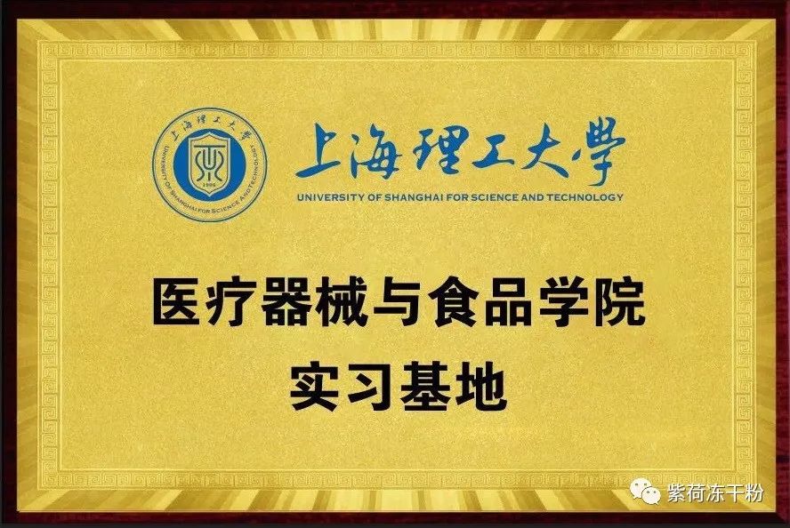 上海理工大学研究基地