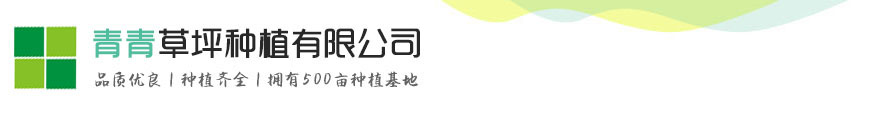 草坪种植有限公司网站模板