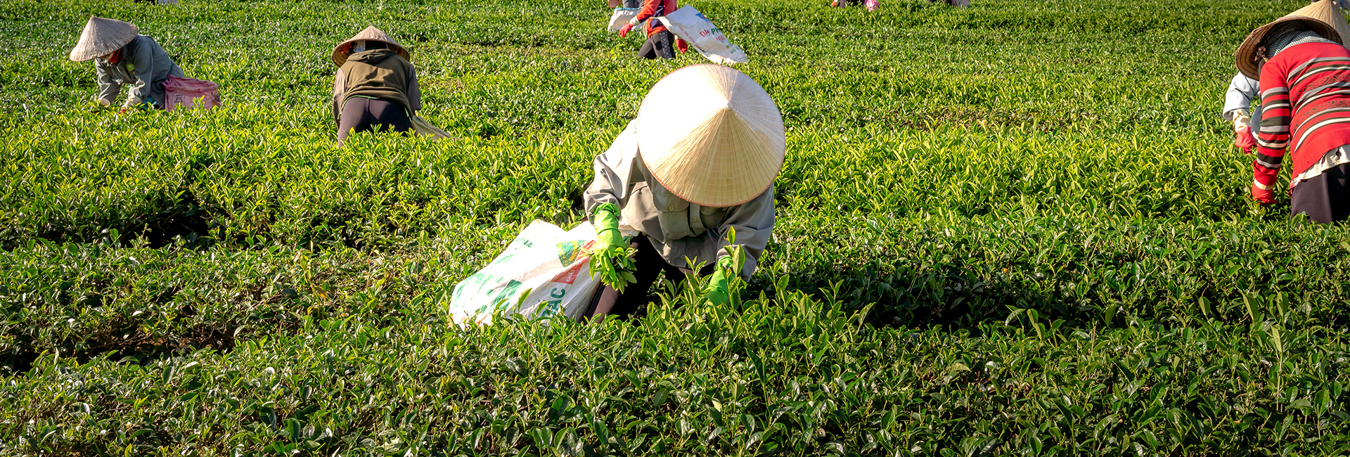 PB模板库