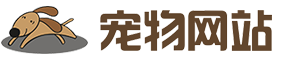 宠物商店宠物装备类网站 宠物网站-米安网络网站演示