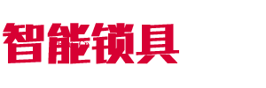 安全锁信息技术有限公司