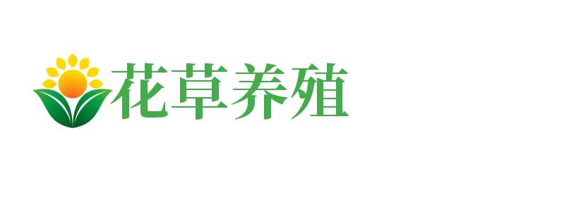 花卉养殖新闻资讯类 绿色花草植物网站